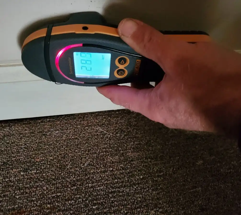 Moisture detection at baseboard during Burst Pipe Cleanup in Hampden